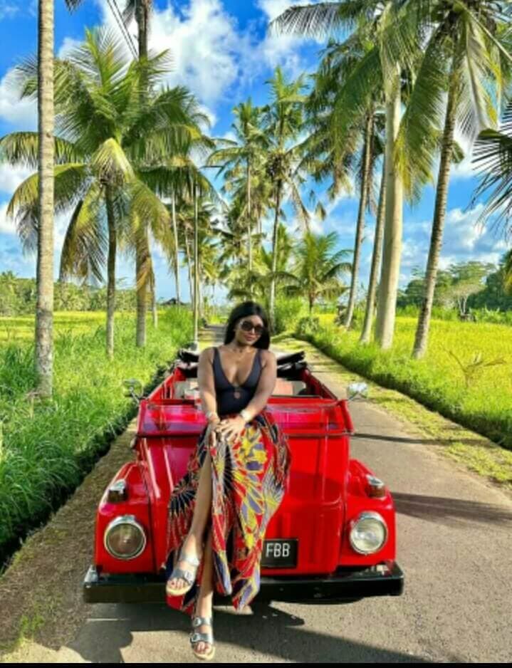 Bali countryside seen from a classic VW